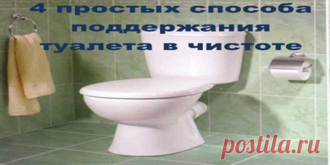 4 простых способа поддержания туалета в чистоте | Полезные советы!