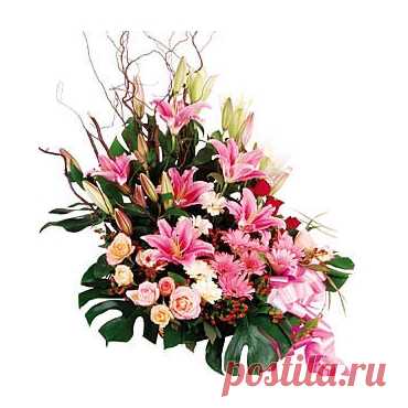 Заказать Цветной сон c доставкой по Краснодару