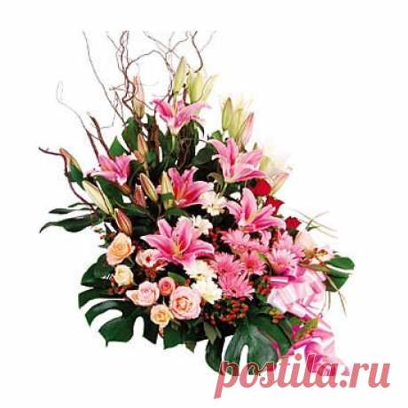 Заказать Цветной сон c доставкой по Краснодару