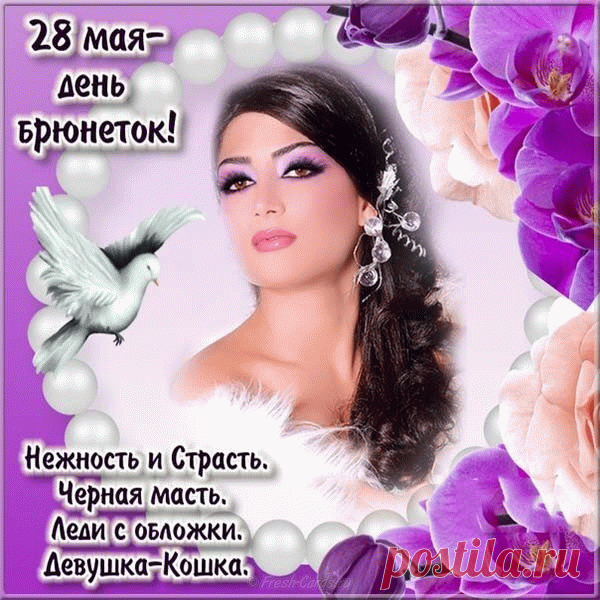 Дерзкие и жгучие
Брюнетки наши лучшие,
Сегодня только всё для вас,
Устройте настоящий джаз.