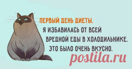 Открытка: Дорогая теща! От всей души поздравляю Вас с Вашим профессиональным праздником — Хэллоуином! - Выпуск №1820 — Вокруг смеха - анекдоты