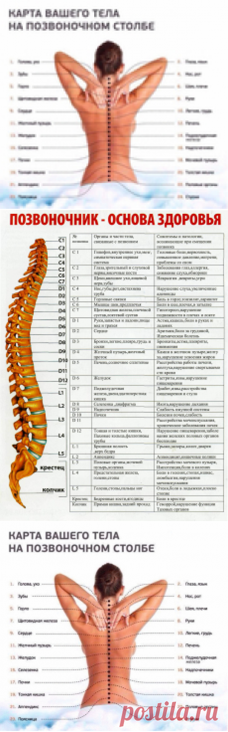 Карта Вашего тела на позвоночном столбе