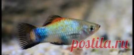 Мирный - Part 4