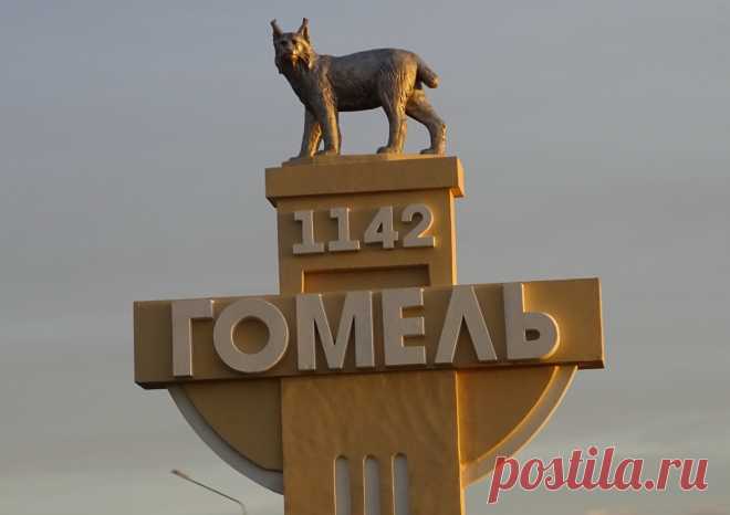 рысь
Гомель