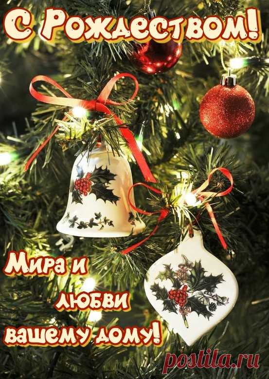 Пусть заветное точно исполнится,
Благосклонность подарит судьба.
Светлой верой душа пусть наполнится,
С Рождеством поздравляю тебя!