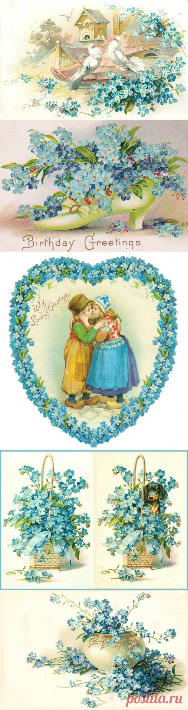 сообщение Елена_Сухенко : Винтажные открытки. Незабудки (18:53 04-05-2014) [4237948/323444607] - aleno4ka-0808@mail.ru - Почта Mail.Ru