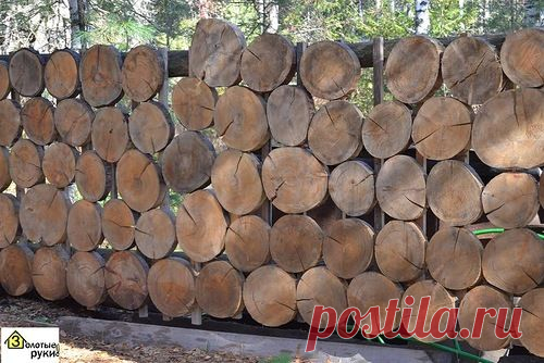 живая изгородь из ивы своими руками фото: 3 тыс изображений найдено в Яндекс.Картинках