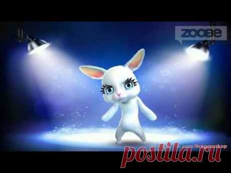 Смешная Зайка Zoobe :) Не буду готовиться к Новому Году!