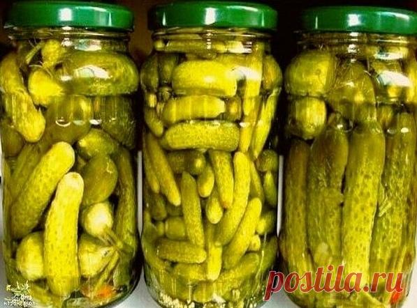 Эти маринованные огурчики не доживают даже до нового года!

Ваши близкие совершенно забудут про другие соленья пока не съедят все эти огурчики!

Ингредиенты:
- огурцы свежие (сколько войдёт в банку) ;
- зонтики укропа - 2-3 шт.
- лист хрена - 1-2 шт.
- лавровый лист - 3 шт.
- перец чёрный горошек - 4 шт.
- перец душистый горошек - 4 шт.
- чеснок - 4-5 зуб.
- сахар (на 1 литр воды) - 150 гр.
- соль (на 1 литр воды) - 40 гр.
- лимонная кислота (на 1 литр воды) - 1 ч. л.
Приг...