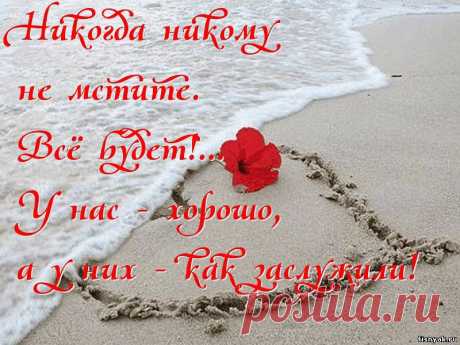 (1) Одноклассники