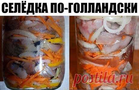 Селёдка по-голландски Такие банки опустошаются за раз! Эта рыбка со стола сметается в первую очередь. Советую очень! Возьмите на вооружение рецепт СЕЛЕДКИ ПО-ГОЛЛАНДСКИ. Продукты: Сельдь свежемороженная — 2 шт., Лук — 2 шт., Лимон — 0,5 шт., Сахар — около 3 ч.л., Соль — 4 ч.л., Морковь — 1 шт., Лавровый лист — 10-12 шт., Чёрный перец — 8-10 горошин (крупно-молотых) Выход: две 0,5 л банки (4-6 порций) Приготовление: Лимон …