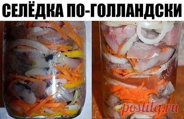 Селёдка по-голландски Такие банки опустошаются за раз! Эта рыбка со стола сметается в первую очередь. Советую очень! Возьмите на вооружение рецепт СЕЛЕДКИ ПО-ГОЛЛАНДСКИ. Продукты: Сельдь свежемороженная — 2 шт., Лук — 2 шт., Лимон — 0,5 шт., Сахар — около 3 ч.л., Соль — 4 ч.л., Морковь — 1 шт., Лавровый лист — 10-12 шт., Чёрный перец — 8-10 горошин (крупно-молотых) Выход: две 0,5 л банки (4-6 порций) Приготовление: Лимон …