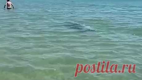 Пока мало отдыхающих!