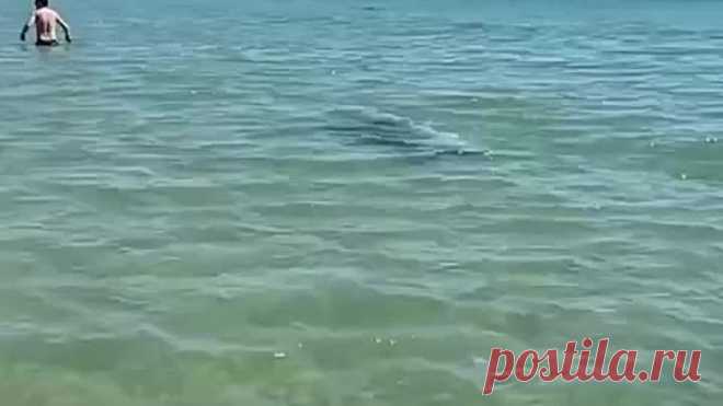 Пока мало отдыхающих!