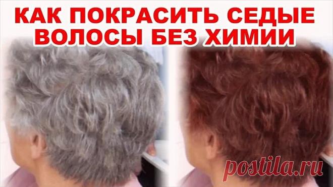 Как покрасить седые волосы без химии?