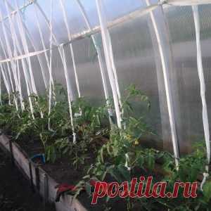 Практика ведения дачного хозяйства