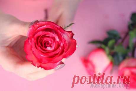 Как продлить жизнь цветам