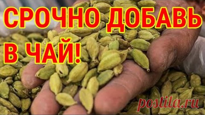 ВСЕ ВРАЧИ Пьют Этот Чай! Чистит Сосуды, Укрепляет Сердце, Давление и Холестерин в Норме!