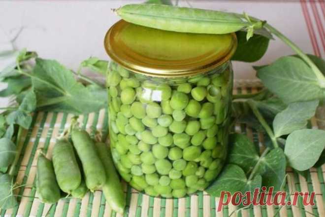 Консервирование зеленого горошка в домашних условиях