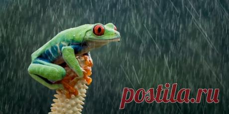 16 фото, на которые хочется смотреть снова и снова | Болтай