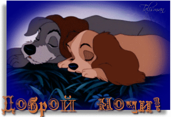 (15) Мой Мир@Mail.Ru