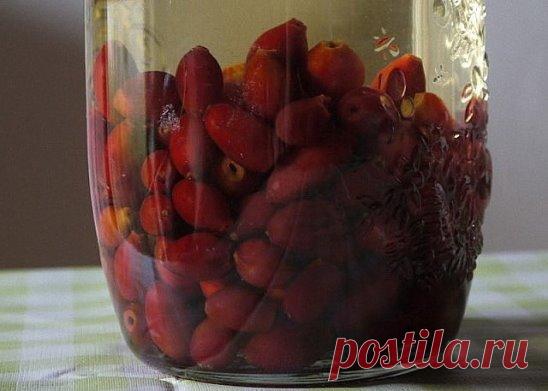 Настойка для желудка избавила от давления
У меня повышенная кислотность желудка, это, конечно, не бо­лезнь, но жить часто мешает. Принесла мне как-то подруга рецепт, который мне понравился по своей простоте и полезности. Я решила для себя: попробую, хуже не будет, пото­му что все составляющие сами по себе безвредны, а вдруг я действи­тельно избавлюсь от проблемы. Меня несколько смущало наличие водки в рецепте, я опасалась за свое давле­ние, оно у меня повышенное. Но ре­шилась и начала принимать