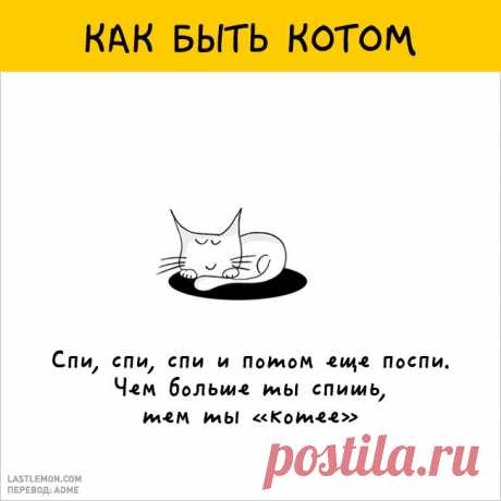 12 крутых картинок о том, как быть котом