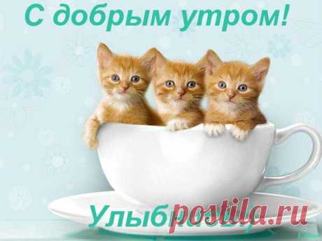 d6535a7oo03a6b7b161932da661081dl.jpg (604×453)