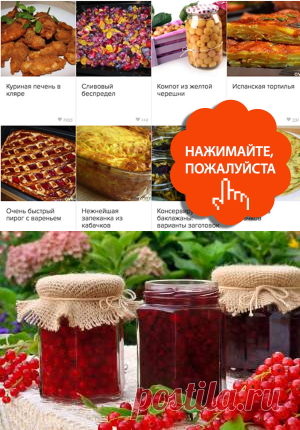 🌞 Лучшие летние рецепты: варенье, огурцы, кабачки и кое-что еще... - Почта Mail.Ru