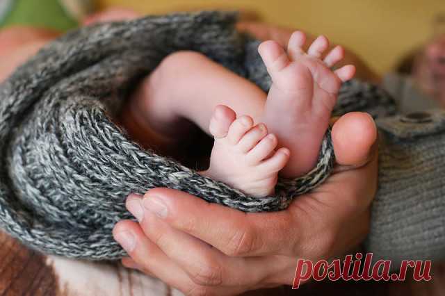 Мы на пальчиках считали
И ужасно хохотали:
Разве это пальчики?

Это ж просто мальчики!

Вот большой, смешной толстяк,
Любит хвастать просто так.
Как дела? - спроси его.
Он подпрыгнет, крикнет: -Во!

Указательный поманит,
Погрозит, укажет путь,
А потом в носу застрянет:
Где-то ж надо отдохнуть!

Средний палец – злой мальчишка.
Щелкнет по лбу – будет шишка,
Щелк по шару – лопнет шар,
Щелк – и в обморок комар.

Безымянный до утра
Выбирает имена:
Может Петя? Или Вова?
Или Алла...
