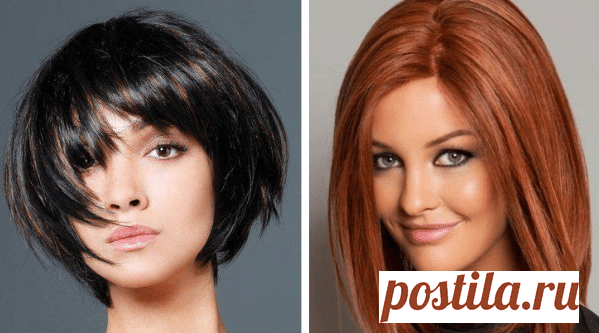 Главная — Canva