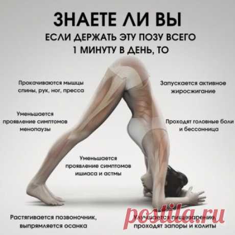 Начнем трениться! 1 минуту в день!