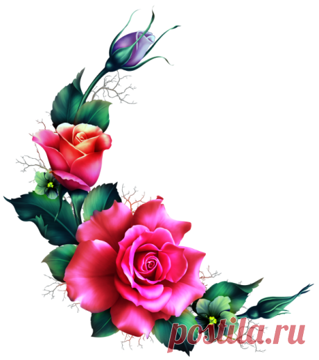 клипарт декор «цветочный» png