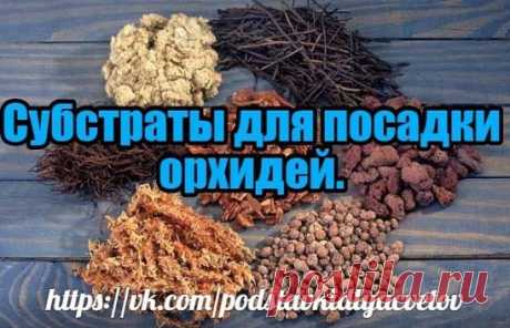 ОСНОВНЫЕ СУБСТРАТЫ ДЛЯ ПОСАДКИ ОРХИДЕЙ 
КАТТЛЕИ  
Грубый воздухопроницаемый субстрат, кора большой фракции 12-18 или 18-25мм, можно добавить обычный шашлычный уголь для адсорбции. Горшок с хорошим дренажем, по размеру позволяющий прирост на пару приростов. 
ФАЛЕНОПСИСЫ 
Сеянцы – мох или мелкая кора 6-9мм, средняя кора 9-12мм + сверху мох 
Взрослые экземпляры – кора средней фракции или покрупнее в зависимости от имеющейся у вас влажности и размеров горшка. Если жарко и сухо берем помельче 9-12м