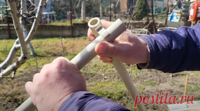 Как сделать шпалеру для растений: 3 бюджетных способа Если вам нужна именно разборная шпалера, то рекомендую изготовить её своими руками. Очень простая конструкция и сделать можно за пару часов.   Разборная шпалера из пластиковой трубы  Необходимые материалы:     	пластиковая труба PP-R диаметром 25 мм (потребуется 14 метров);