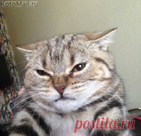 Опять не угодили