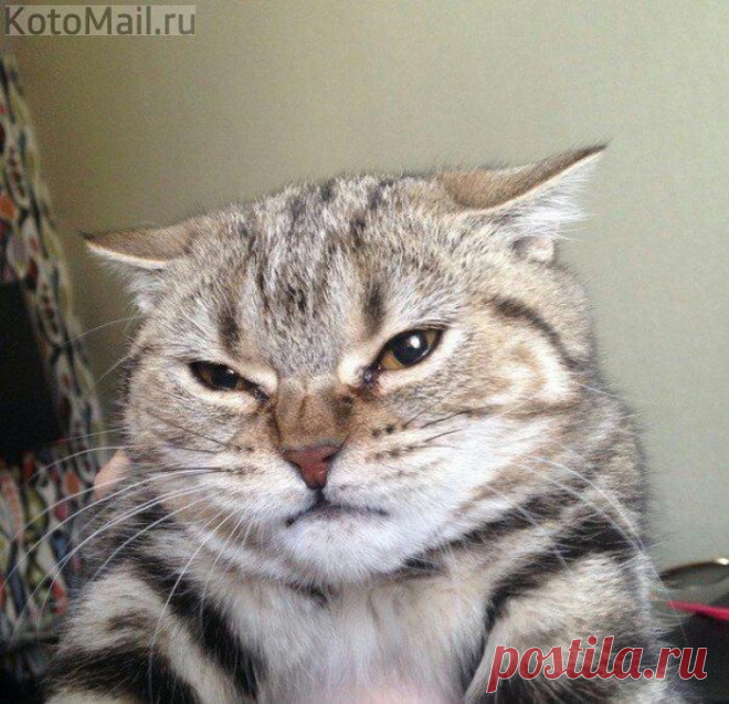 Опять не угодили