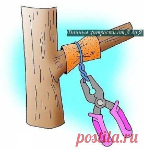 (90) Одноклассники