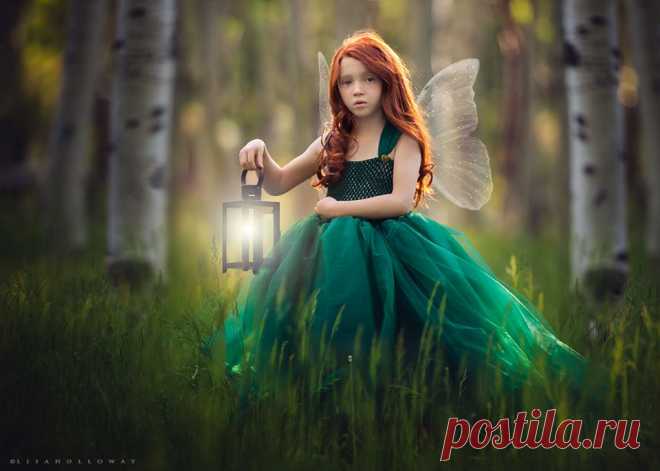 ljholloway photography