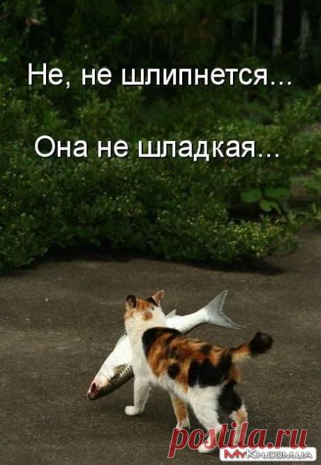 ))))))))))))