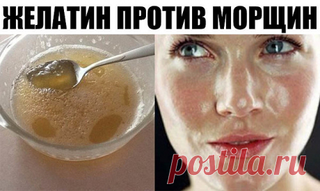 1 непрочитанный чат