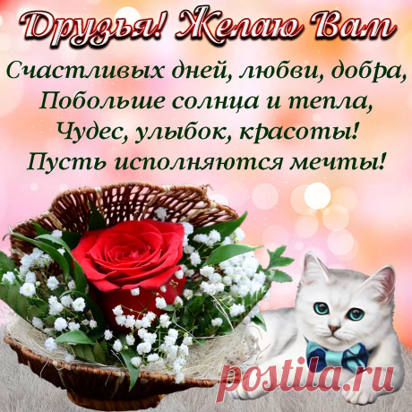 Я счастья простого хочу пожелать,
Чтоб мира частичкой себя ощущать
И в этом гармонию в жизни найти,
Вперед по счастливой дороге пойти.