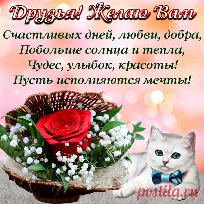 Я счастья простого хочу пожелать,
Чтоб мира частичкой себя ощущать
И в этом гармонию в жизни найти,
Вперед по счастливой дороге пойти.