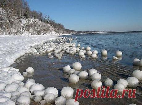 (1) Одноклассники