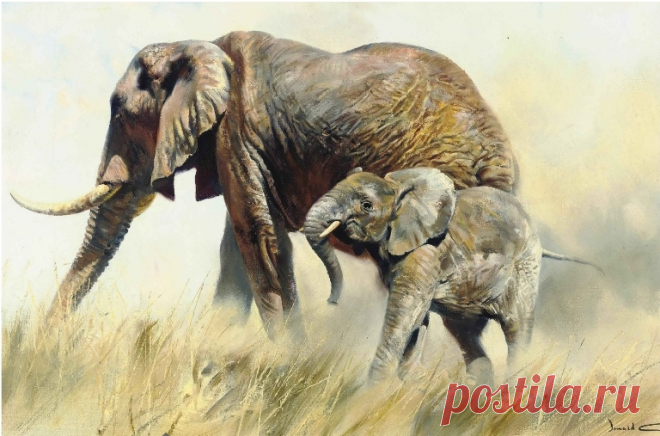 Английский художник-анималист Donald Grant (47 работ) » Картины, художники, фотографы на Nevsepic