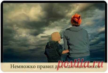 Хитрости Жизни