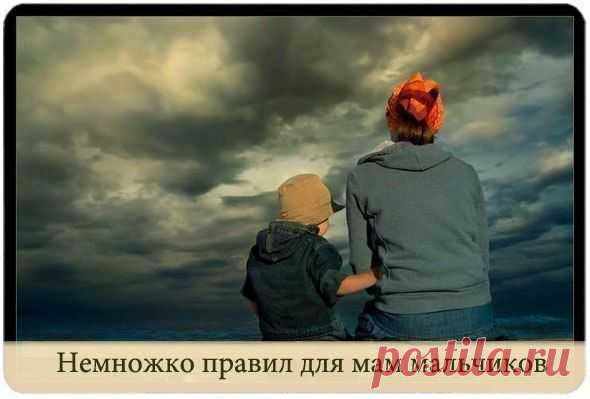 Хитрости Жизни