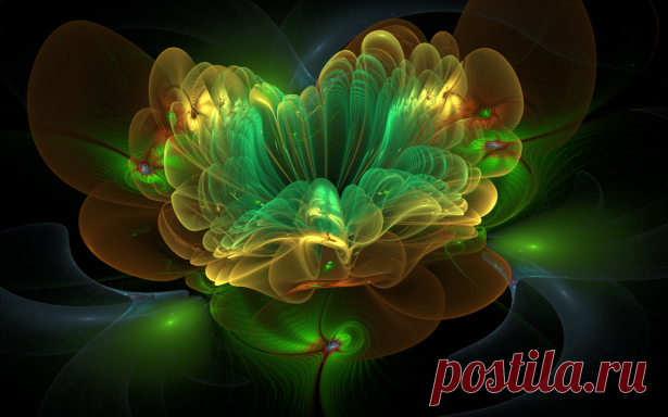 3d flowers by artist Luis | Beautiful pictures