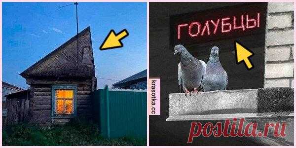 Тролли на уровне: 10 фото на которых происходят то ли странные, то ли забавные события
Иногда идешь спокойно с работы, смотришь в телефон или слушаешь музыку и не замечаешь, что вокруг происходят очень интересные вещи. Некоторые из них получились совершенно случайно, но выглядят при этом очень забавно. «Совпадение?Не думаю!» Это реклама голубцов или голубиной почты? Птички очень забавно сели над...
Читай пост далее на сайте. Жми ⏫ссылку выше