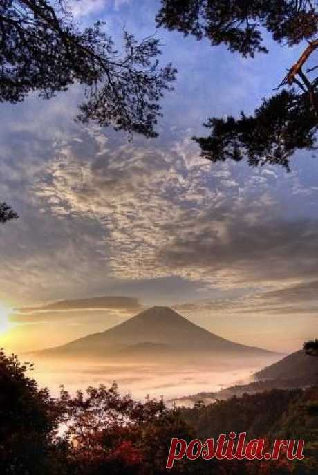 sunrise Search on Indulgy.com